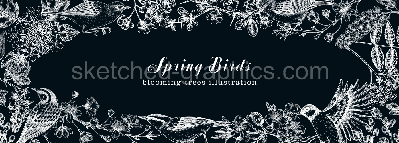 Spring garden background with birds, flowers, blooming tree branches on chalkboard. Hand drawn almond, willow, rowan, willow, cherry blossom design. Floral sketches frame Illustration